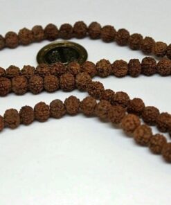 Çeyrek Dizi (9cm uzunluğundadır!) Rudrashka Tohum Çeyrek Dizi 8mm