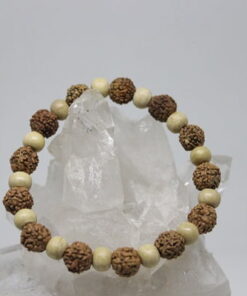 Rudraksha Tohum Bileklik 8mm