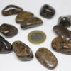 Bronzit Taşı Tamburlanmış Orta Boy 14-20 gram