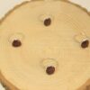 Lal (Granat) (Garnet) Taşı Ayarlanabilir Gümüş Yüzük