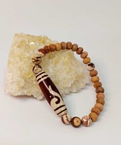 Tibet Akik & Jasper Taşlı Para Kancası Sembollü Unisex Ahşap Bileklik 8mm
