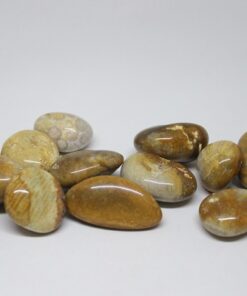 Tibet Akik Taşı ( 10-19 Gram)