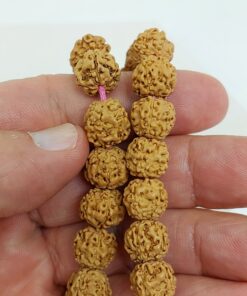 Alternative view of Rudraksha Büyük boy Tohum Dizi 11*9mm (MALA YAPIMI İÇİN) 108 Lik (63850)