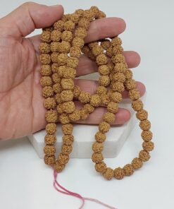 Rudraksha Büyük boy Tohum Dizi 11*9mm (MALA YAPIMI İÇİN) 108 Lik (63850)