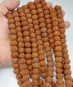 Rudraksha Tohumu Dizi - Koyu Renk - Büyük Boy 14×11 mm - 35 boncuk (63852)