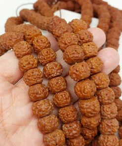 Alternative view of Rudraksha Tohumu Dizi - Koyu Renk - Büyük Boy 14×11 mm - 35 boncuk (63852)
